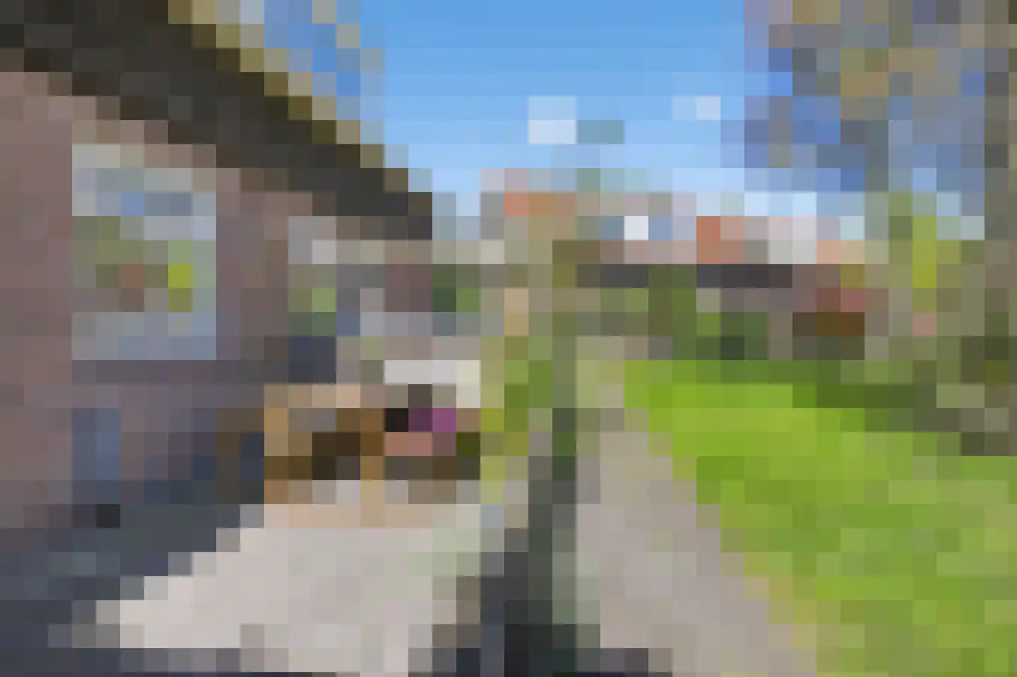 Distelweg 60 Amsterdam thumbnail 11