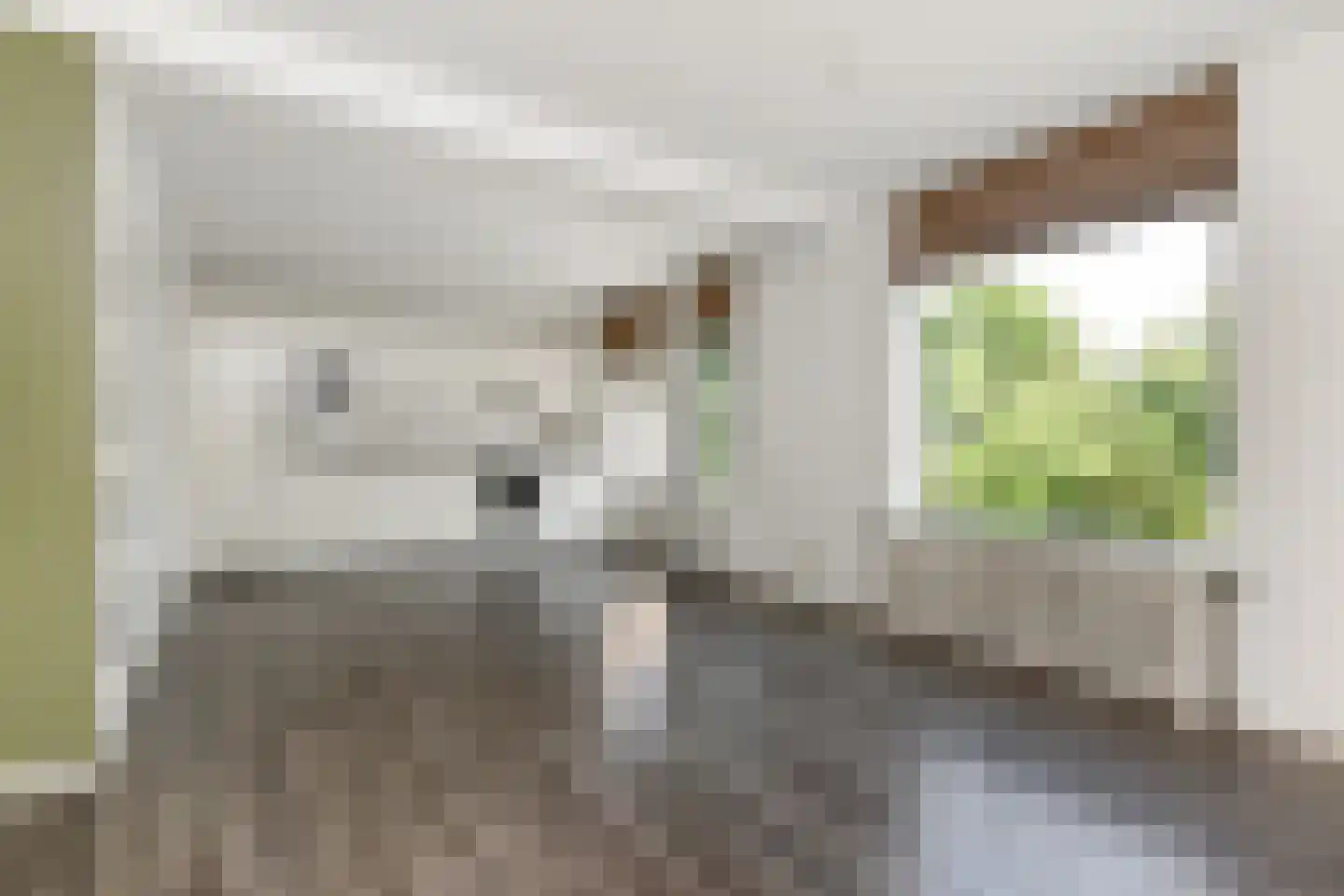 Distelweide 145 Voorburg thumbnail 11