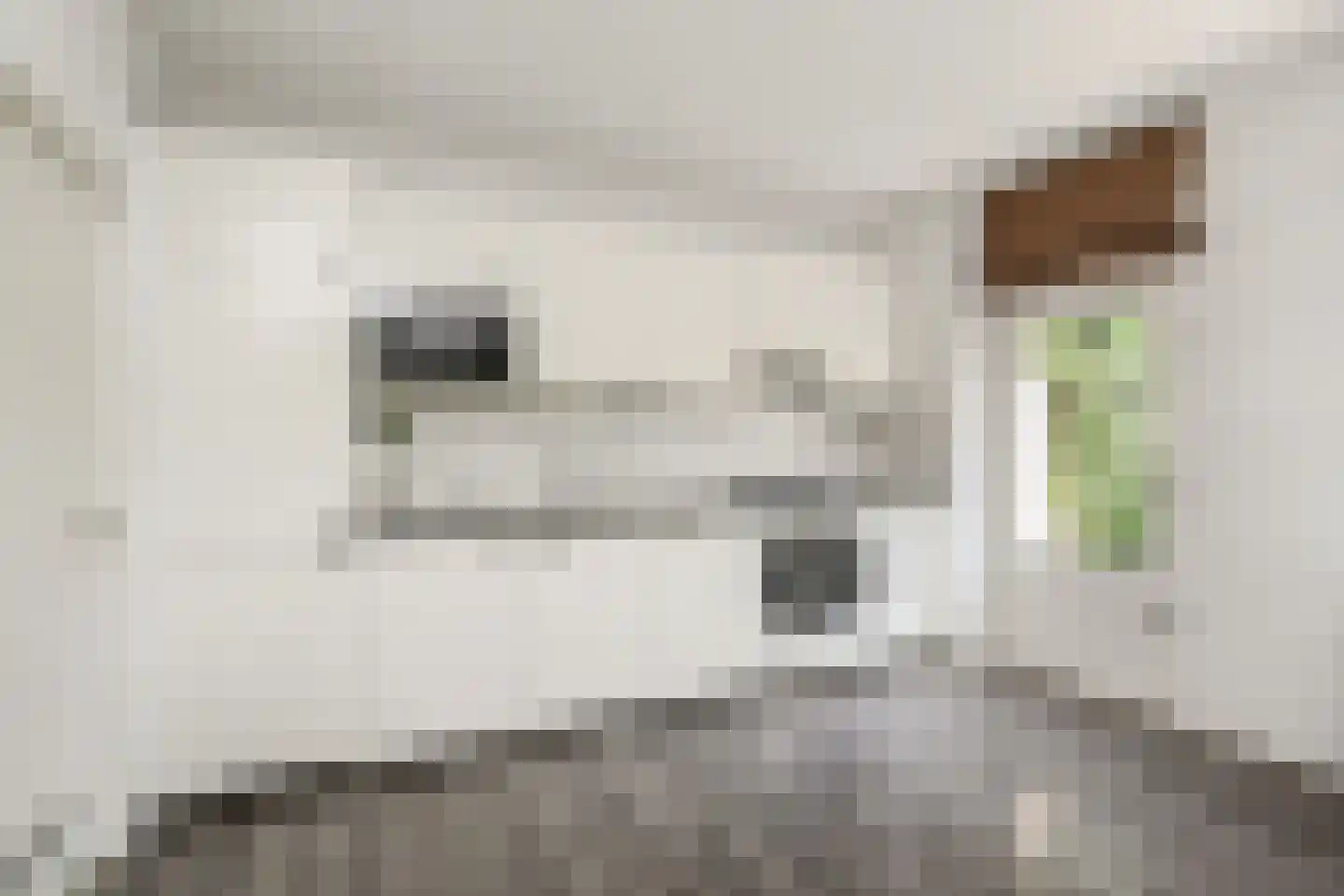 Distelweide 145 Voorburg thumbnail 14