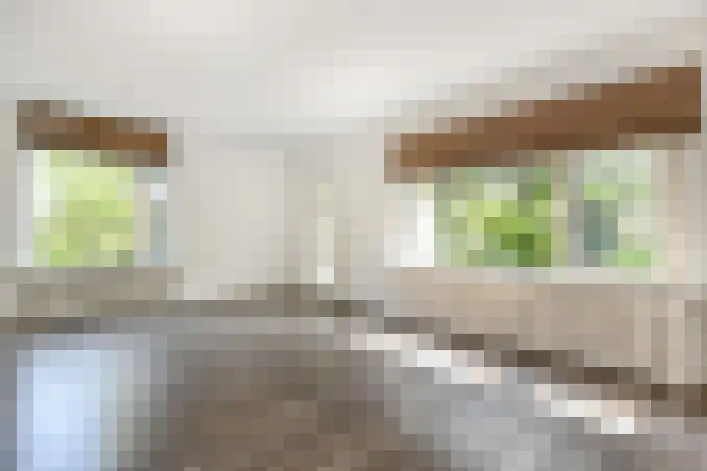 Distelweide 145 Voorburg thumbnail 15