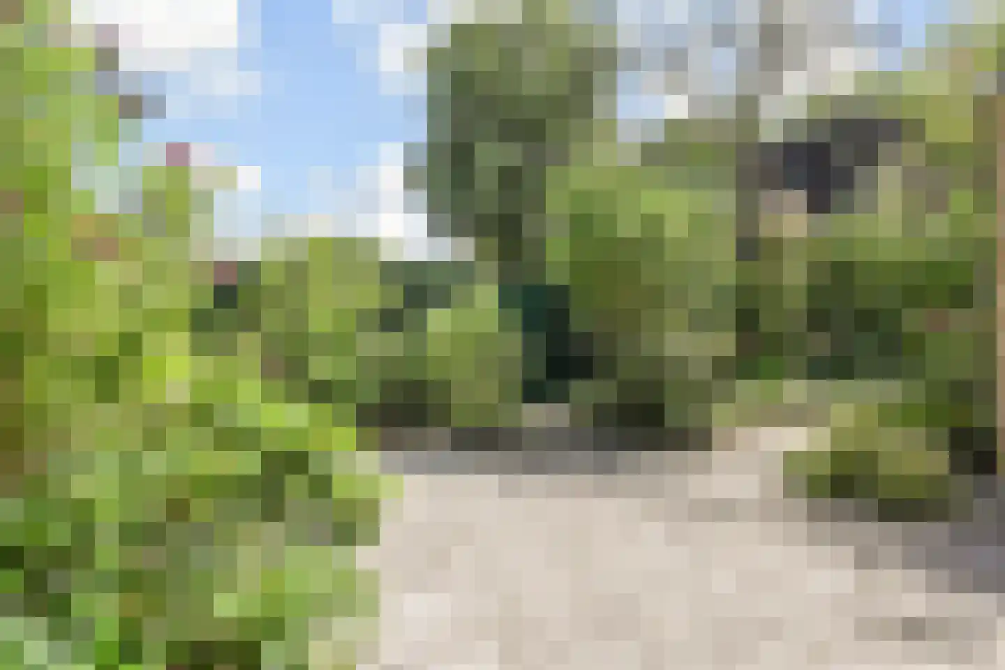 Distelweide 145 Voorburg thumbnail 30