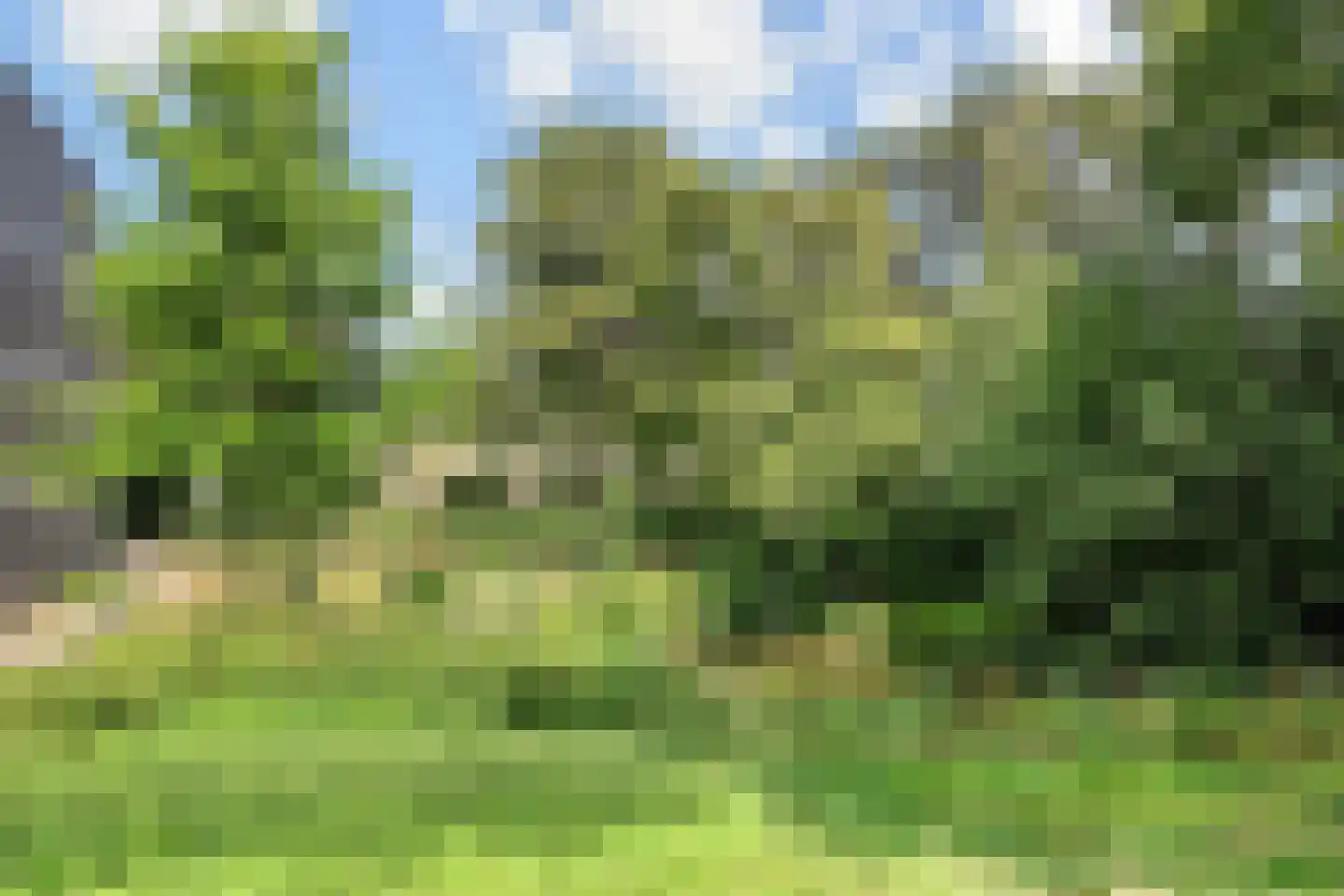 Distelweide 145 Voorburg thumbnail 32