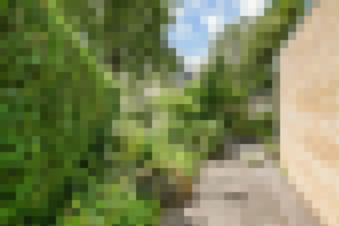 Distelweide 145 Voorburg thumbnail 37