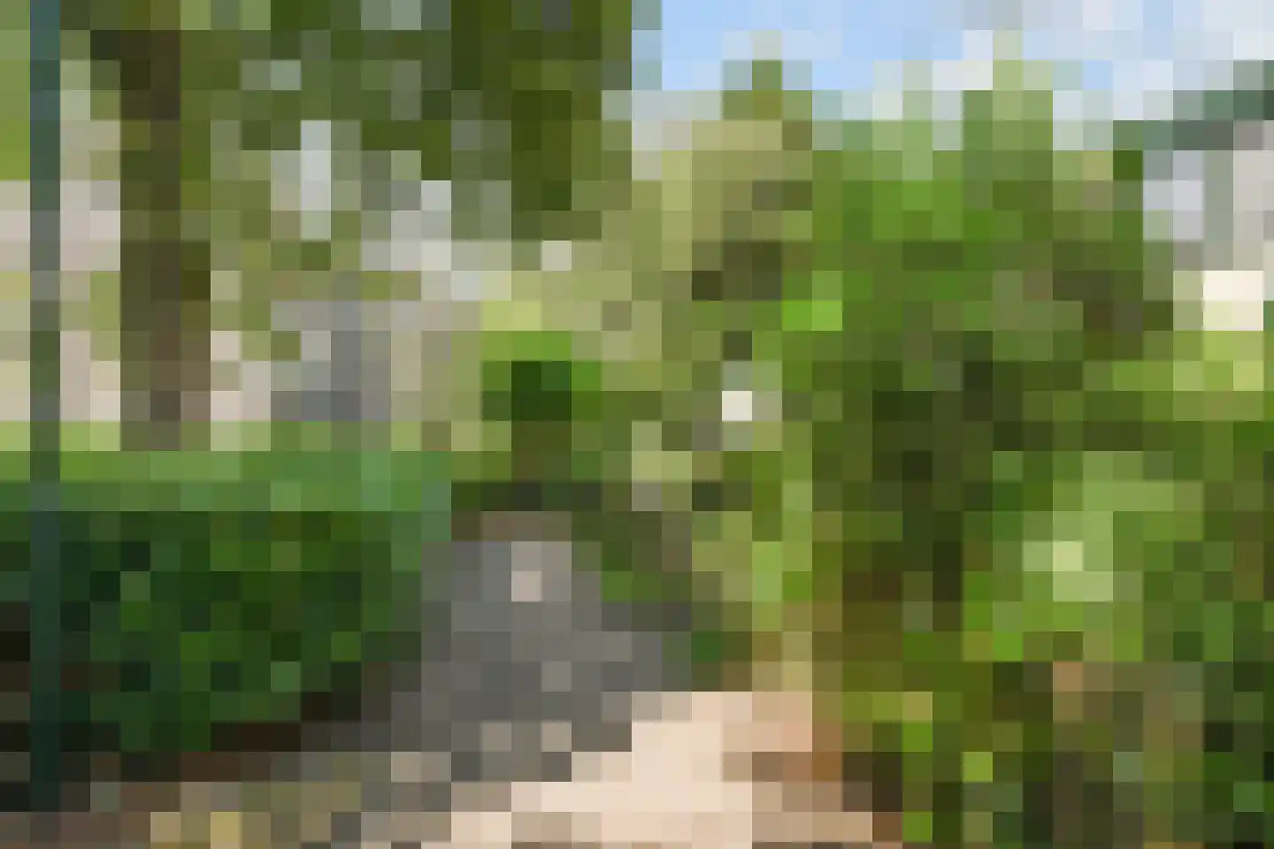Distelweide 145 Voorburg thumbnail 38