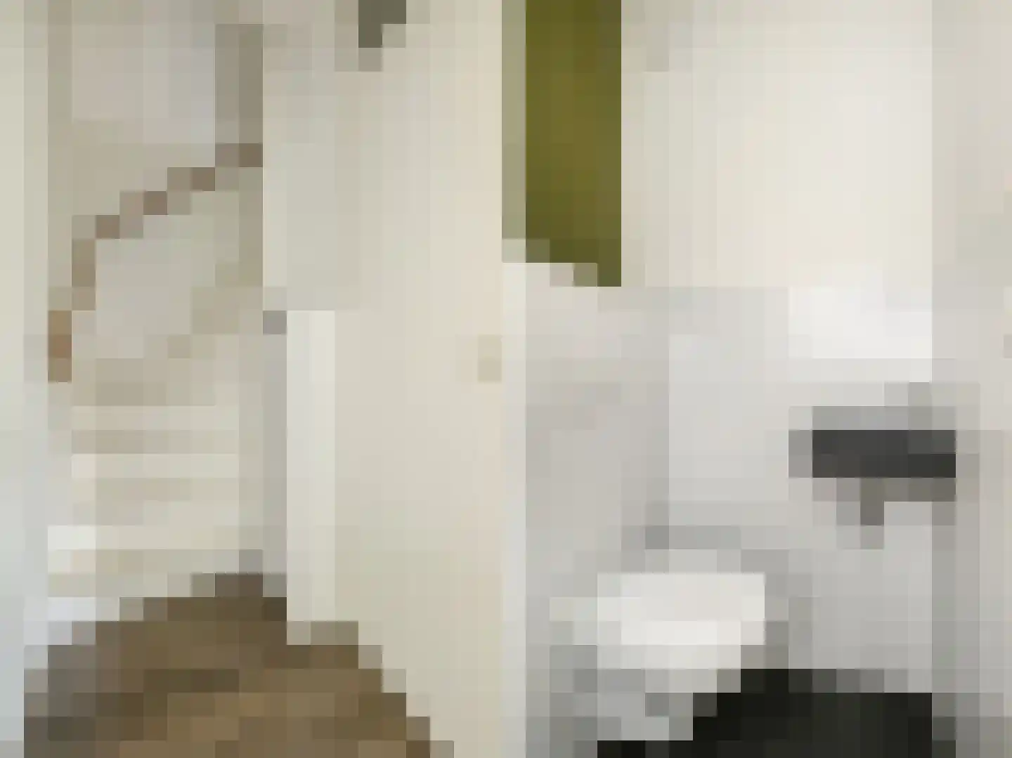 Distelweide 145 Voorburg thumbnail 39