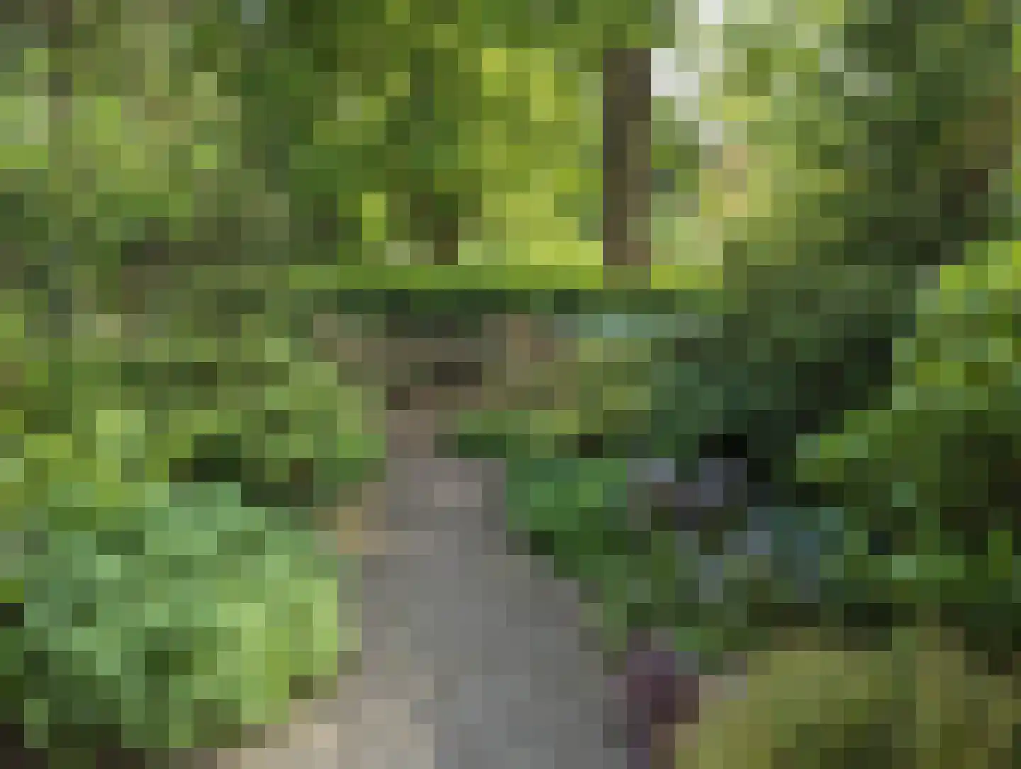 Distelweide 145 Voorburg thumbnail 40