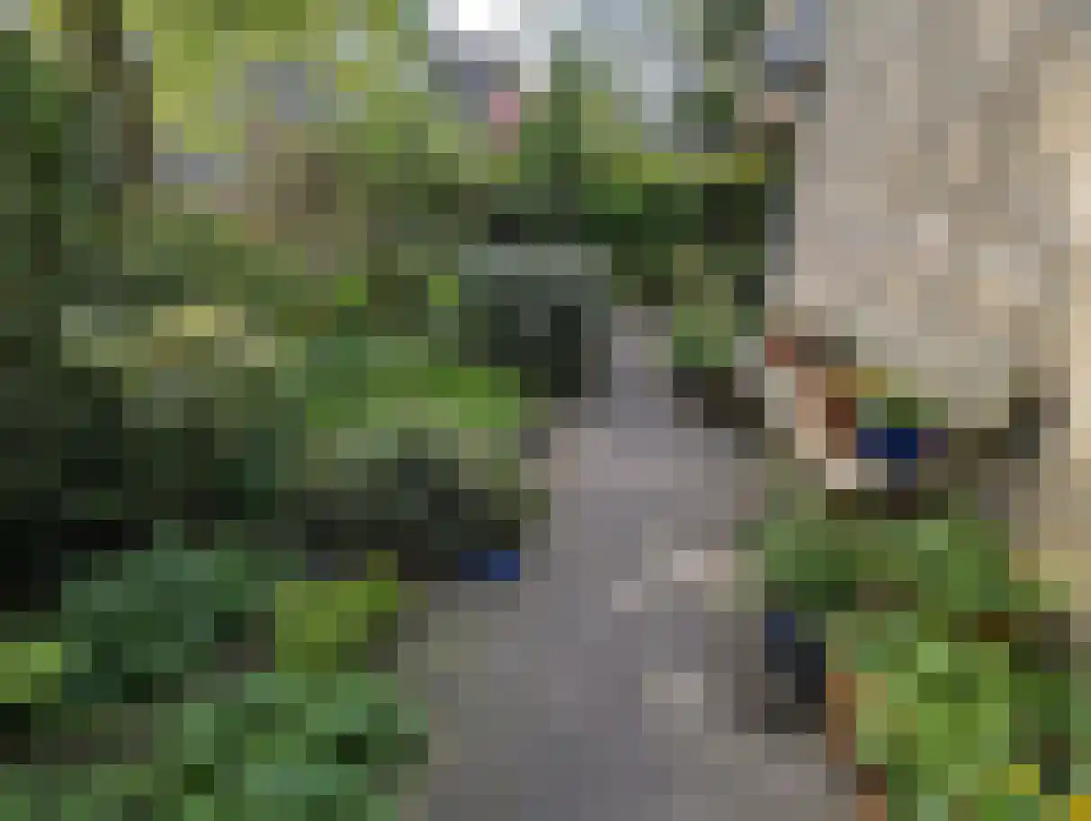 Distelweide 145 Voorburg thumbnail 41
