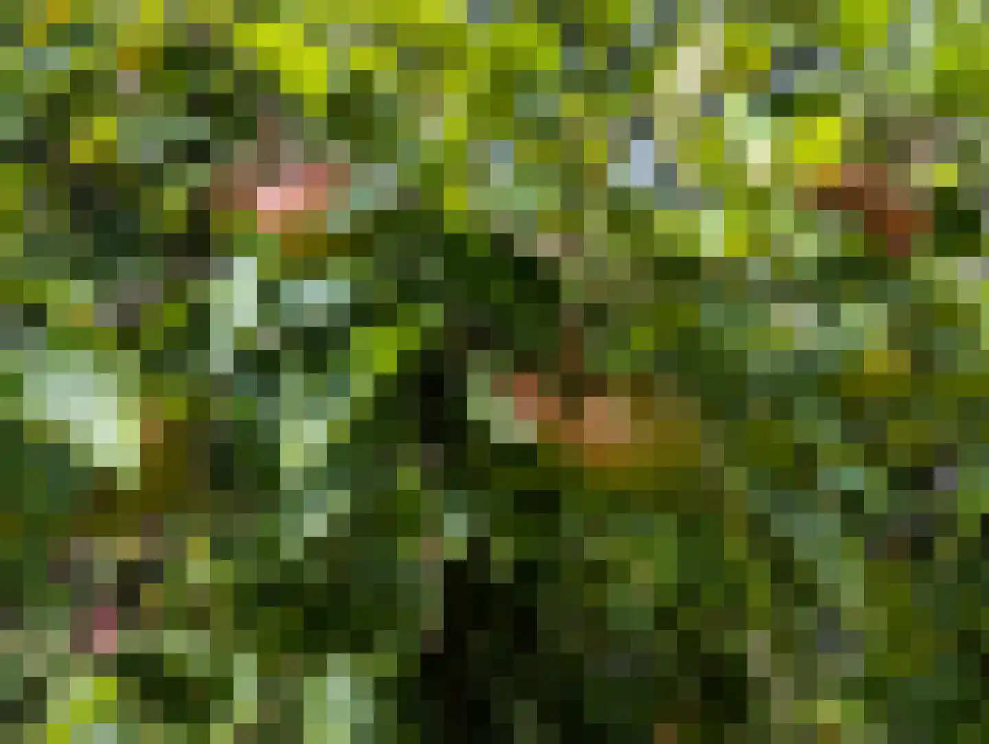 Distelweide 145 Voorburg thumbnail 42