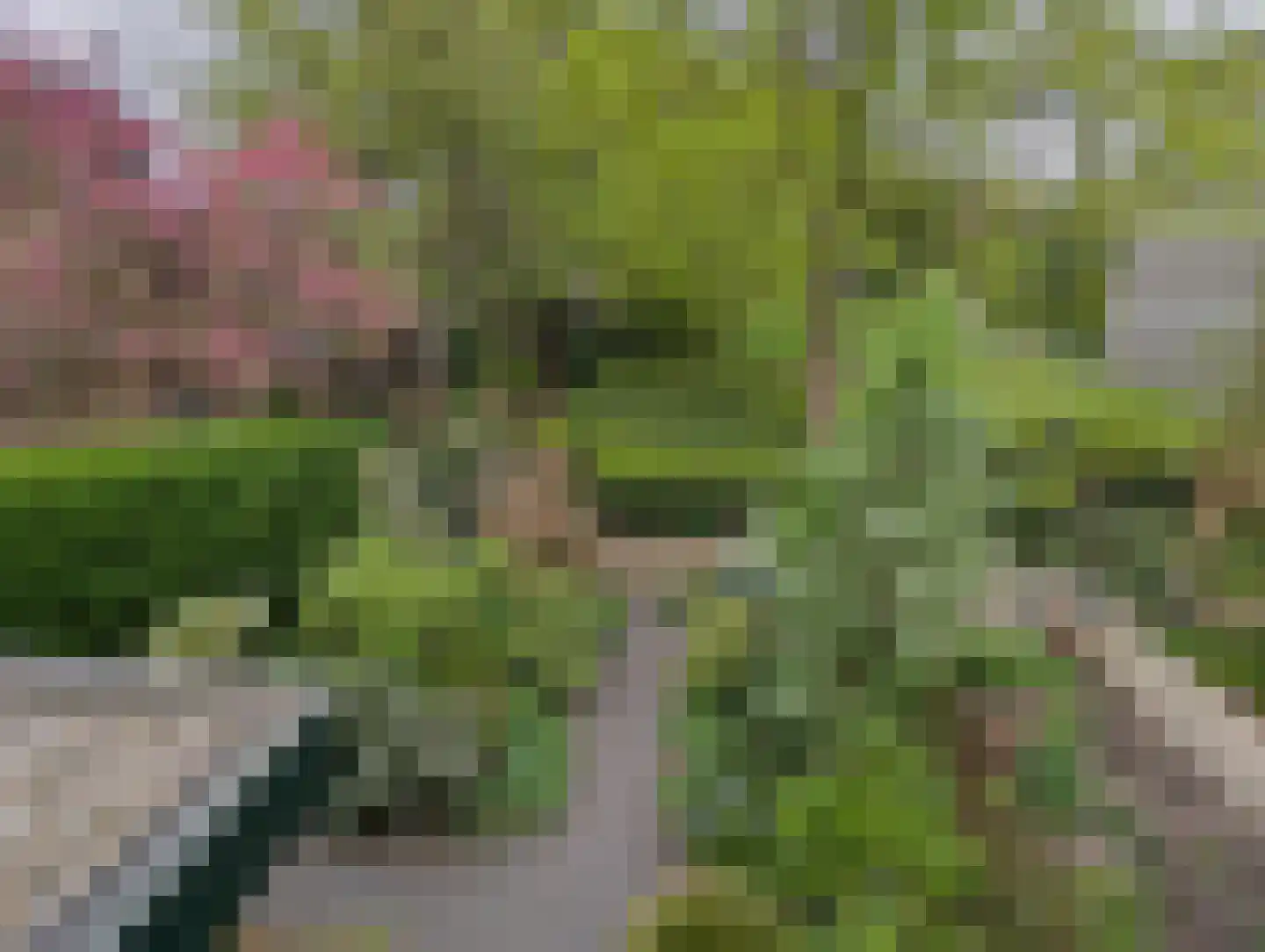 Distelweide 145 Voorburg thumbnail 43