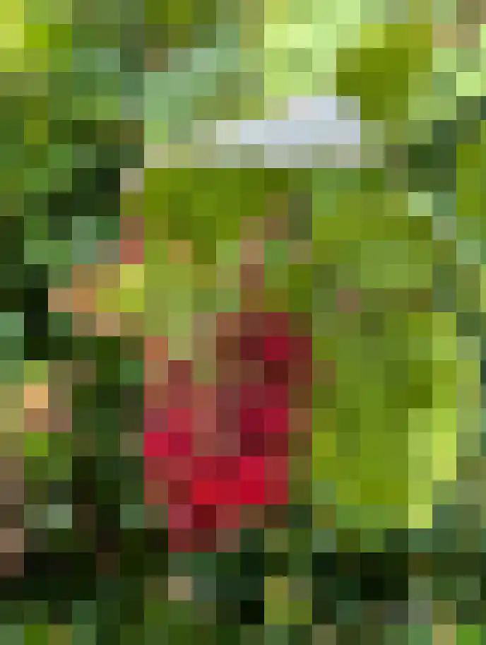 Distelweide 145 Voorburg thumbnail 44