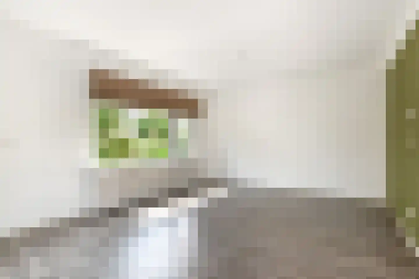 Distelweide 145 Voorburg thumbnail 7