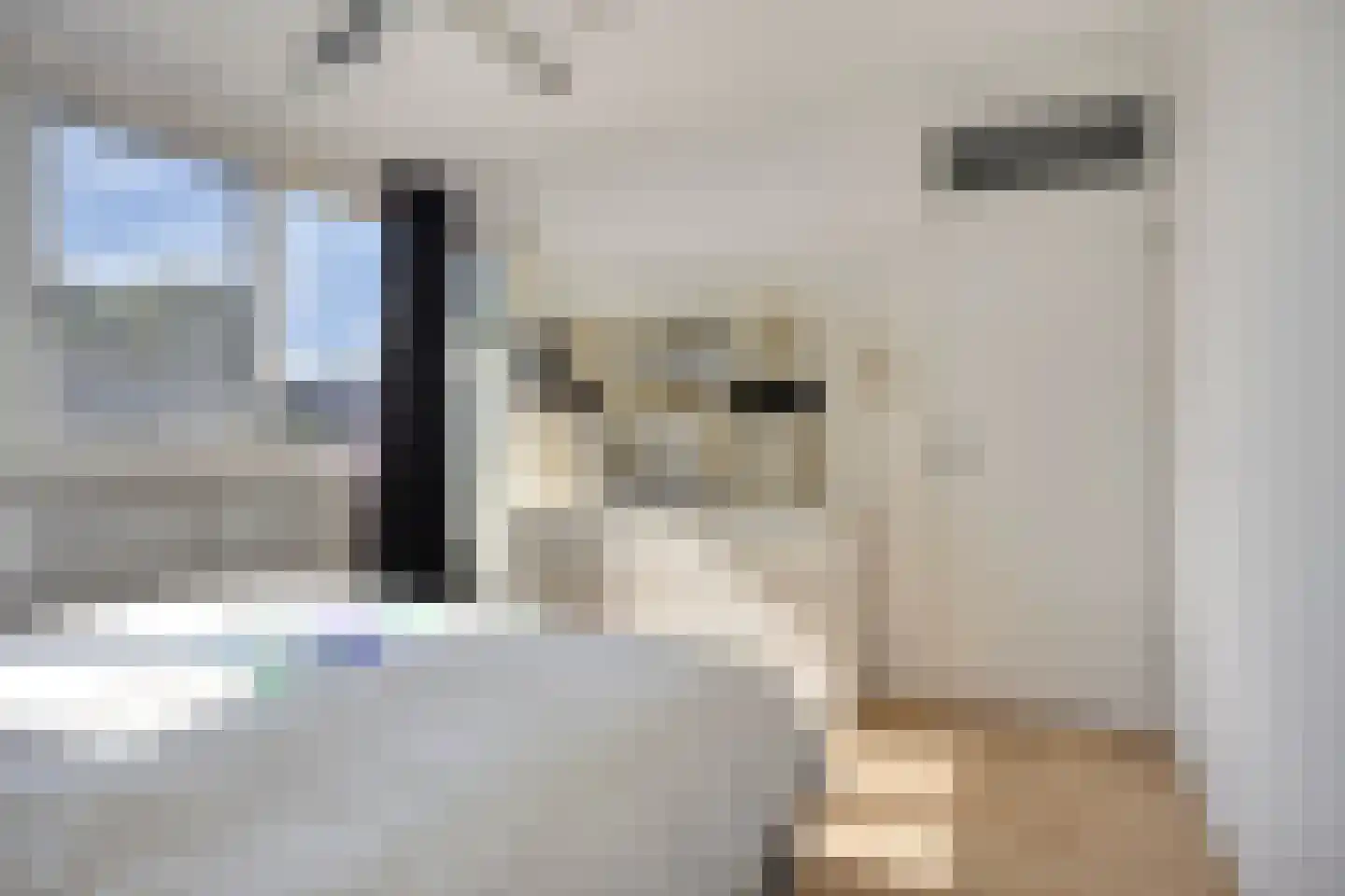 Distheen 21 Heerhugowaard thumbnail 23