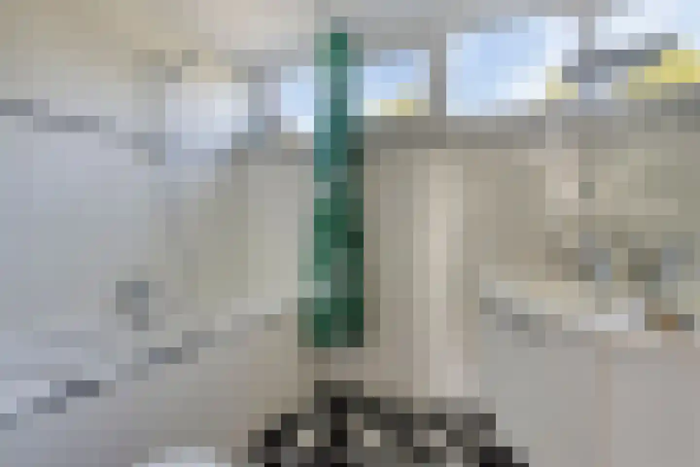 Distheen 21 Heerhugowaard thumbnail 24