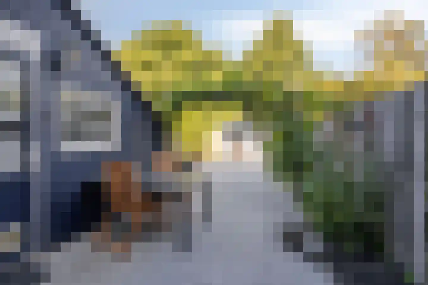 Distheen 21 Heerhugowaard thumbnail 35
