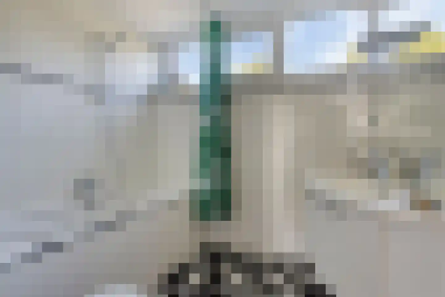 Distheen 21 Heerhugowaard thumbnail 5