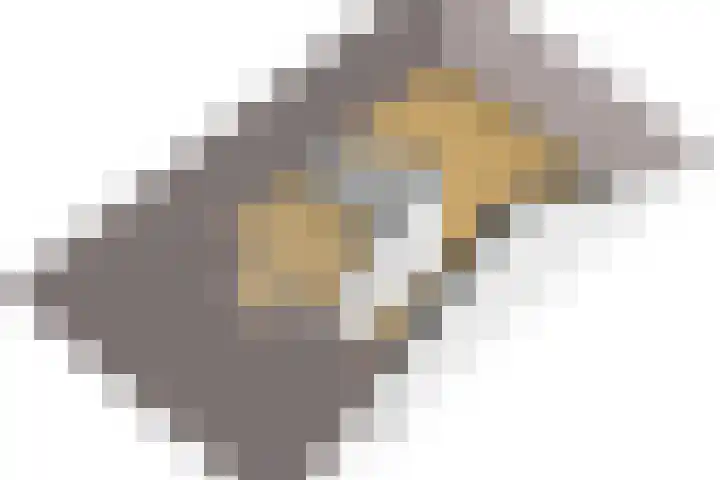 Team photo of Ditters - Ede