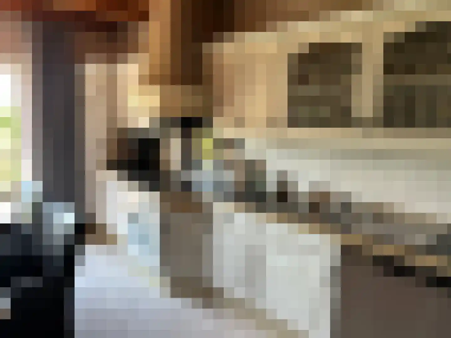 Ditzumerverlaat 17 Bunde thumbnail 9