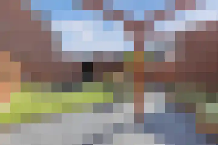 Divisie 21 A Steenwijk thumbnail 28