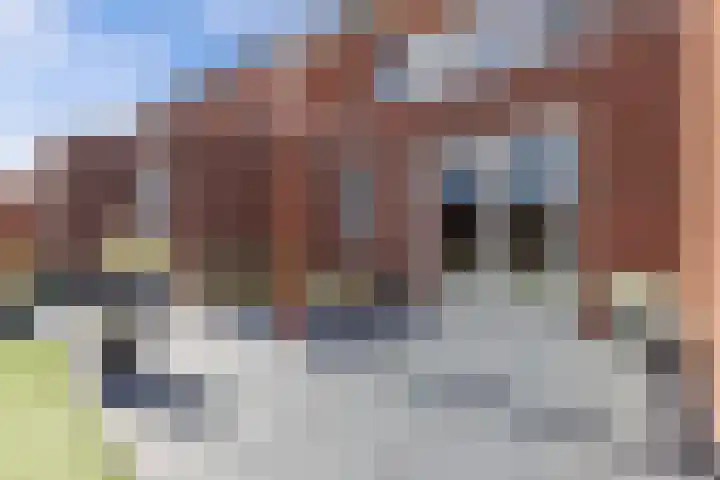 Divisie 21 A Steenwijk thumbnail 29
