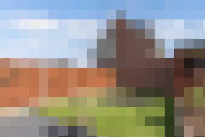 Divisie 21 A Steenwijk thumbnail 31