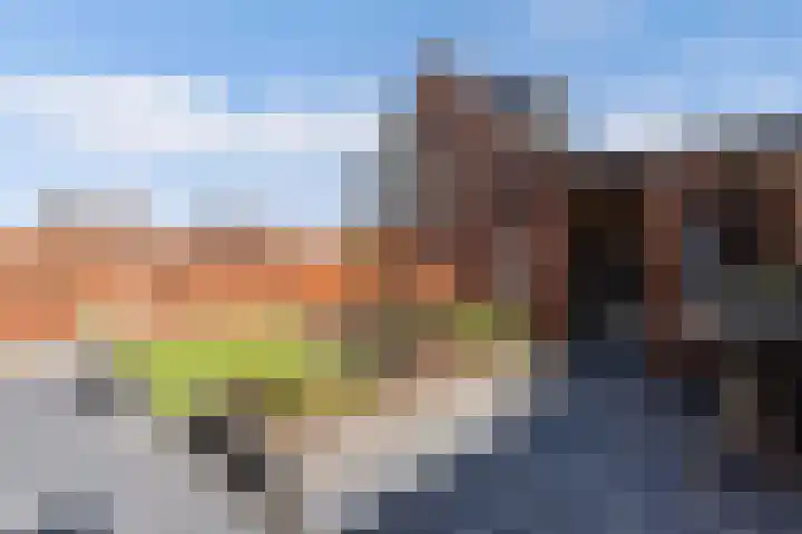 Divisie 21 A Steenwijk thumbnail 32