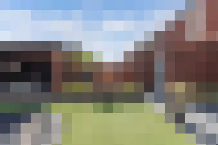 Divisie 21 A Steenwijk thumbnail 37