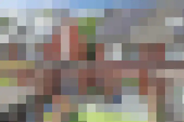 Divisie 21 A Steenwijk thumbnail 40