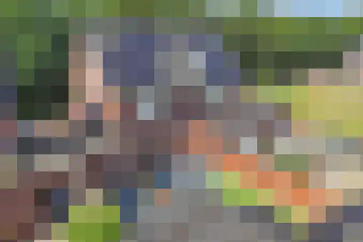 Divisie 21 A Steenwijk thumbnail 41