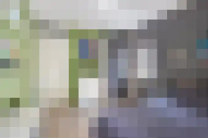 Divisie 21 A Steenwijk thumbnail 52