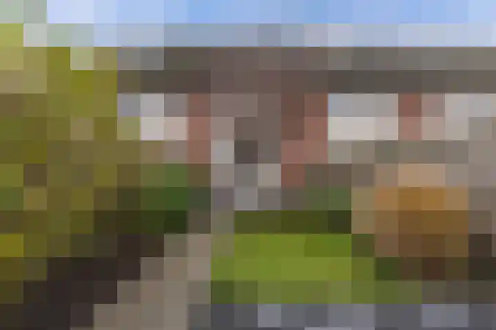Divisie 35 Steenwijk thumbnail 26