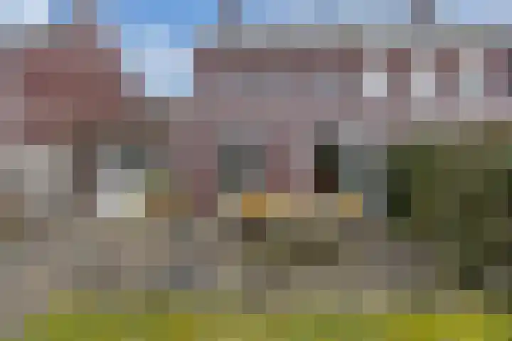 Divisie 8 Steenwijk thumbnail 25