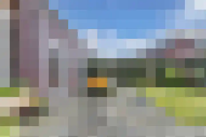 Divisie 8 Steenwijk thumbnail 29