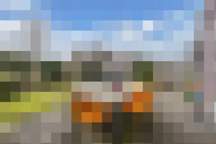 Divisie 8 Steenwijk thumbnail 30