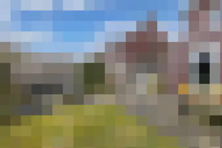 Divisie 8 Steenwijk thumbnail 32