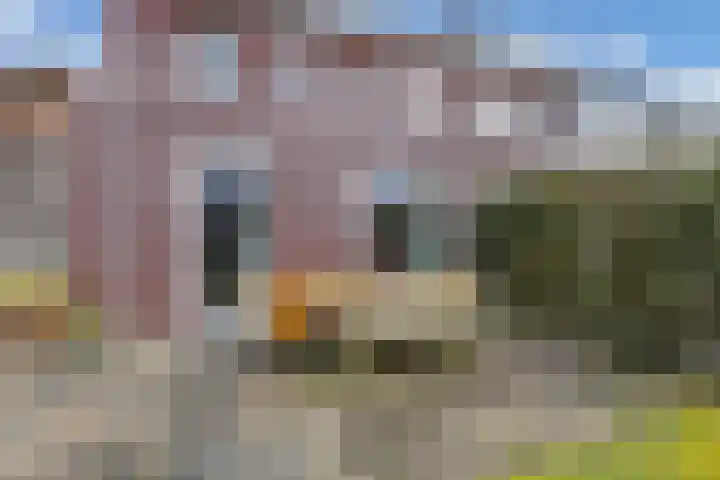 Divisie 8 Steenwijk thumbnail 33