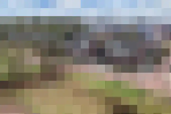 Divisie 8 Steenwijk thumbnail 35