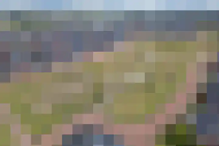 Divisie 8 Steenwijk thumbnail 37