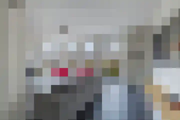 Divisie 8 Steenwijk thumbnail 6