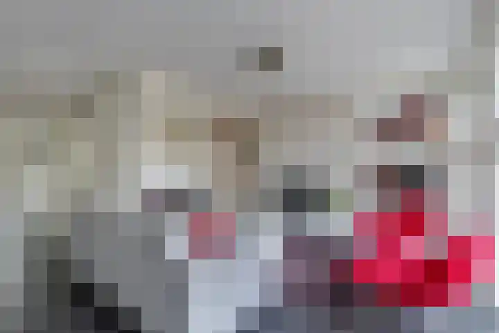 Divisie 8 Steenwijk thumbnail 7