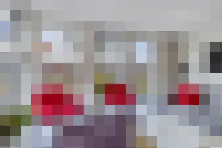 Divisie 8 Steenwijk thumbnail 8