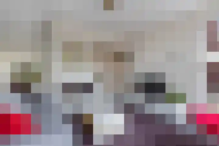 Divisie 8 Steenwijk thumbnail 9