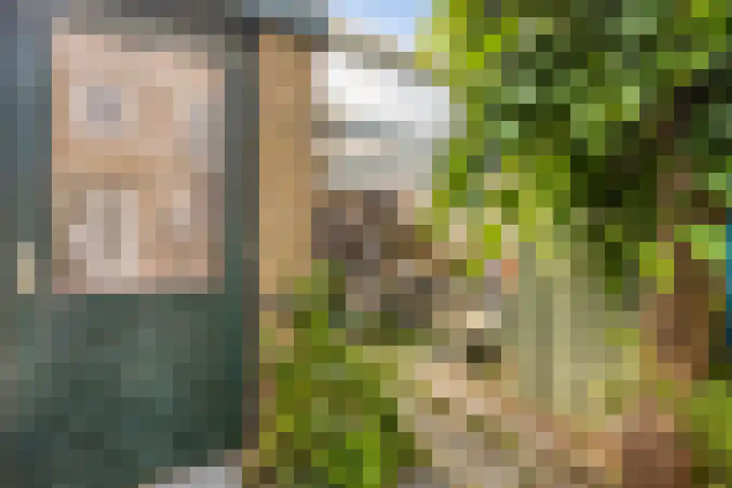 Divonalaan 23 Hillegom thumbnail 31