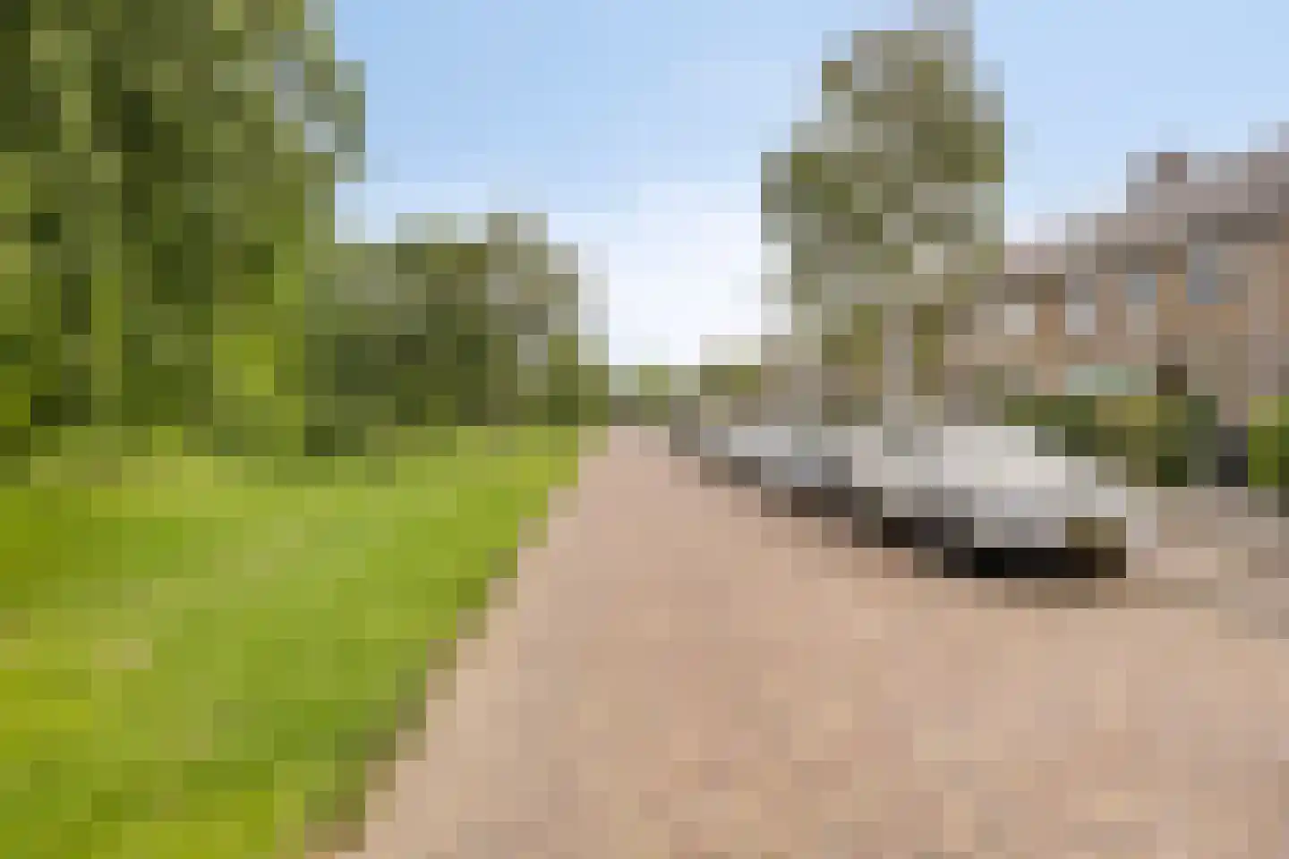 Divonalaan 23 Hillegom thumbnail 32