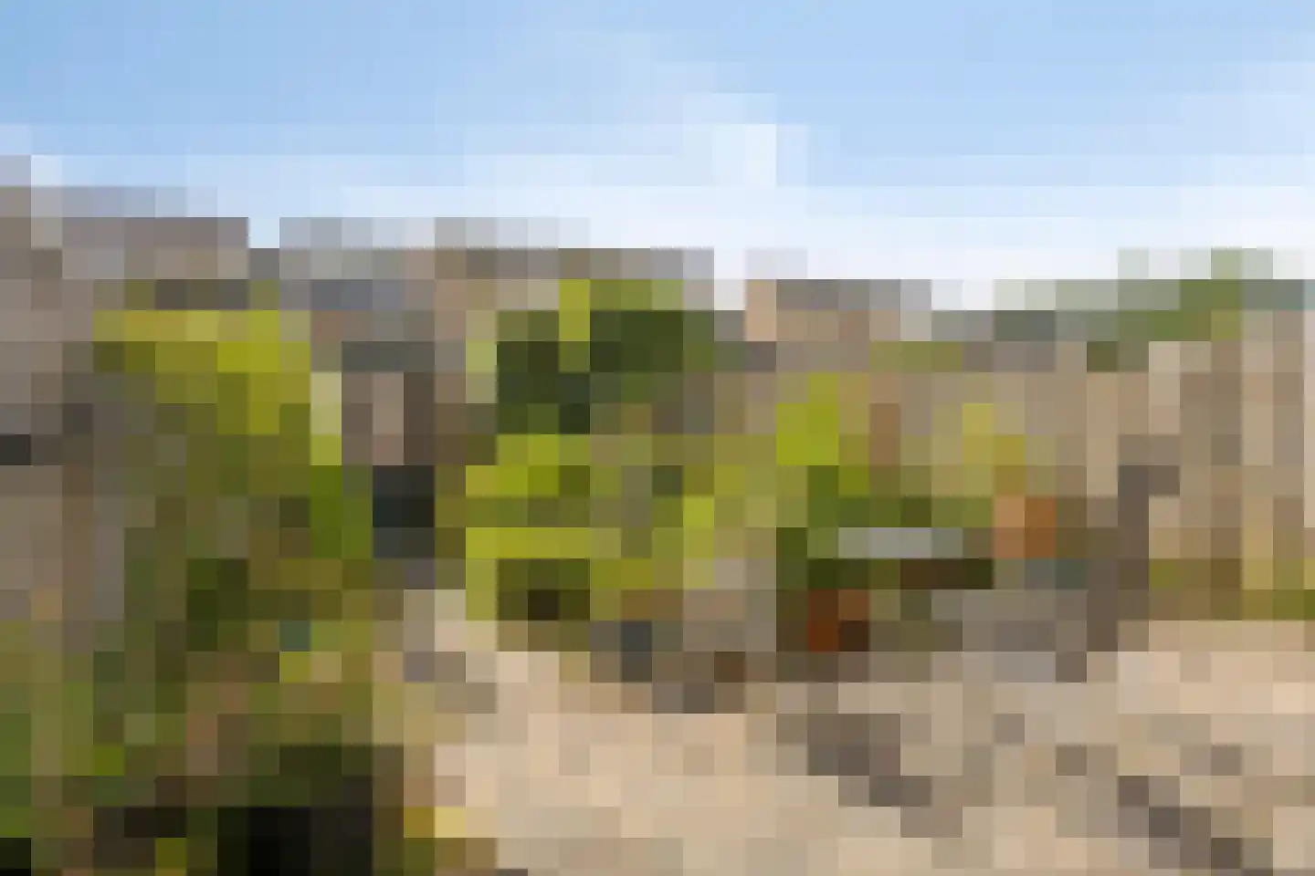 Divonalaan 23 Hillegom thumbnail 4