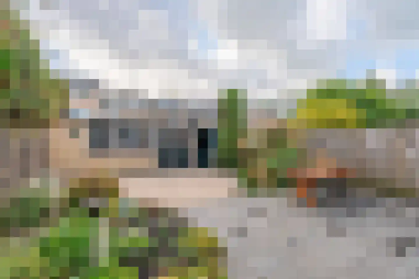 Divonalaan 33 Hillegom thumbnail 13
