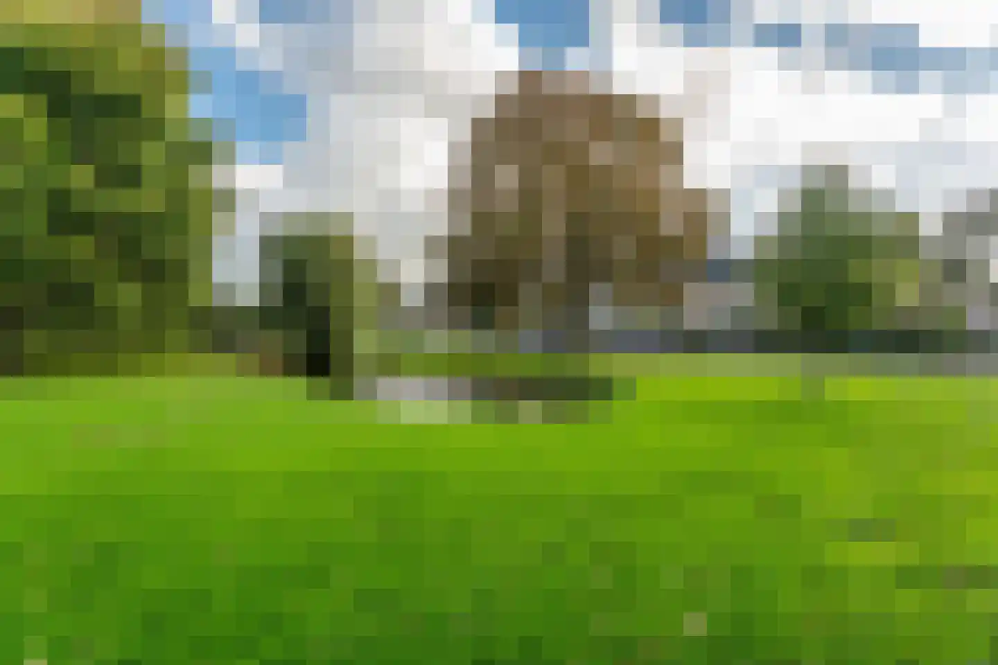 Divonalaan 33 Hillegom thumbnail 31
