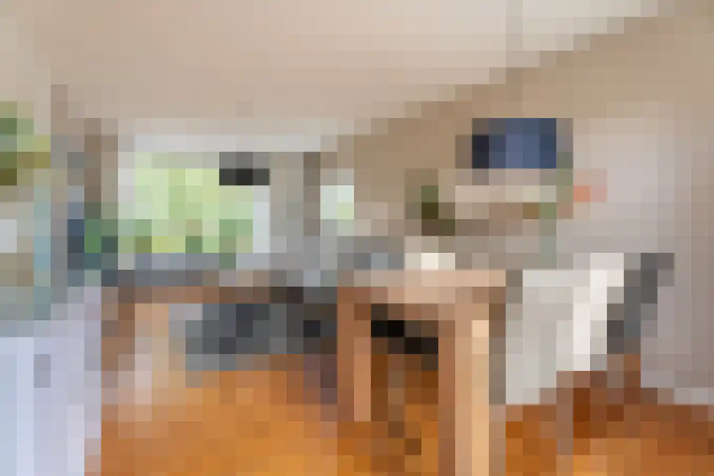 Divonalaan 33 Hillegom thumbnail 5