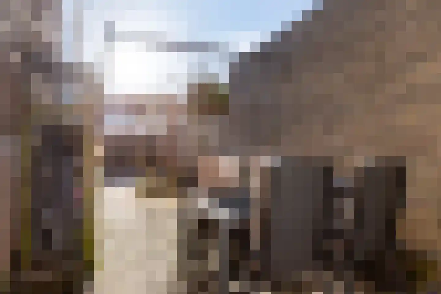 Dixieland 6 Bergen op Zoom thumbnail 44