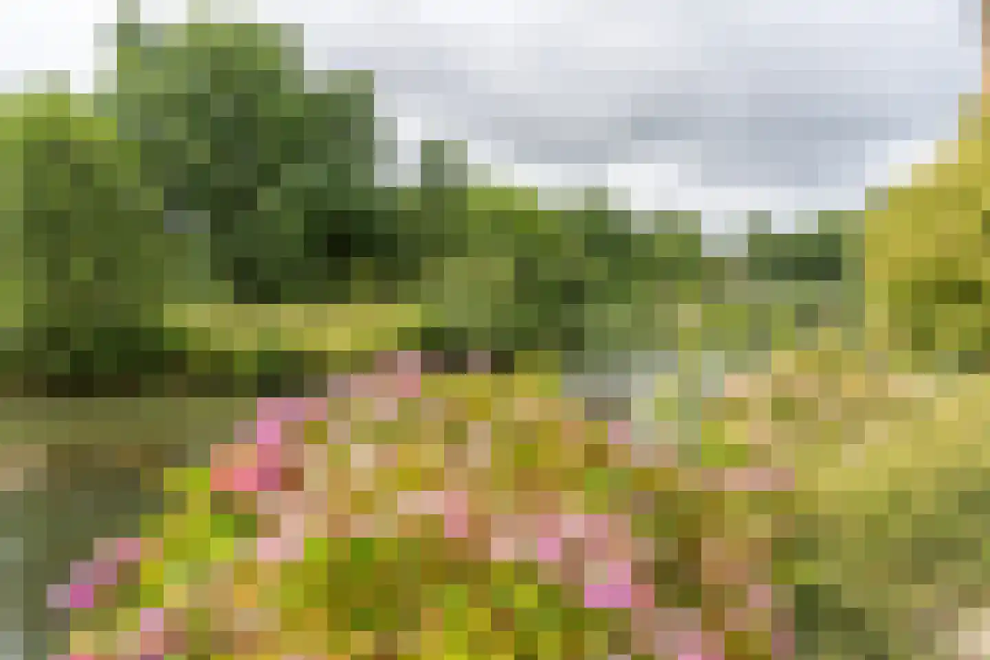 Dixielanddreef 5 Harderwijk thumbnail 5