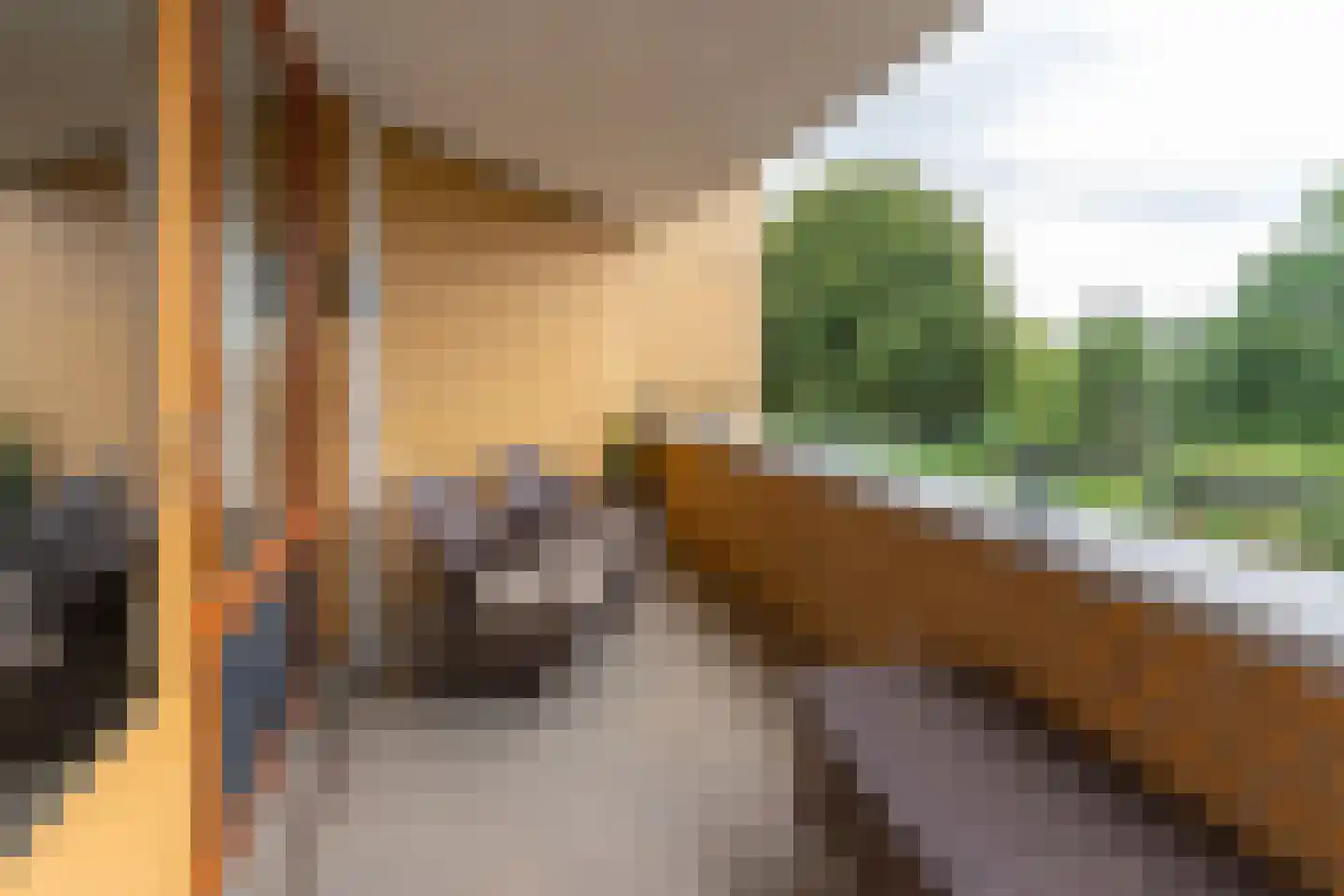Dixielanddreef 5 Harderwijk thumbnail 7
